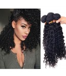 Malaysian virgin 4 bundles curly hair weaves