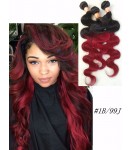 3 bundles Brazilian Virgin Body wave 1B/99J Ombre Hair Wefts